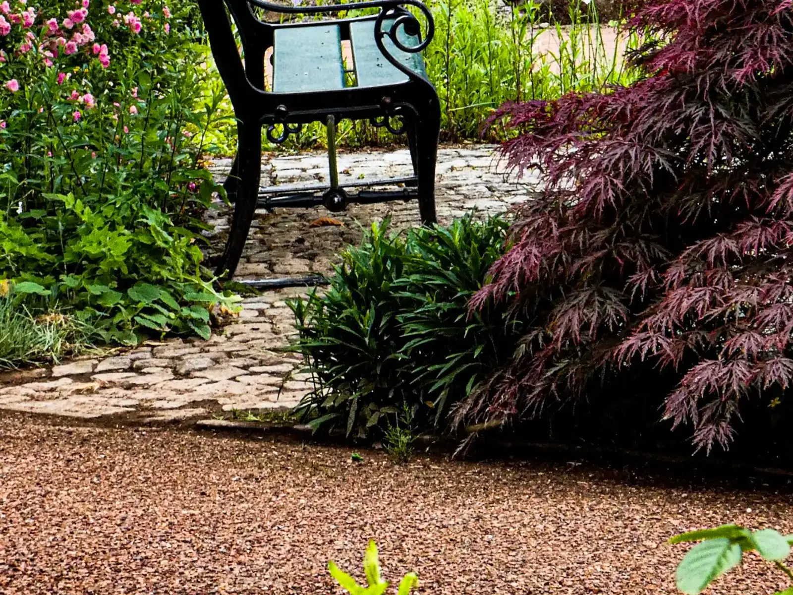 Gietijzeren bankje in een botanische tuin