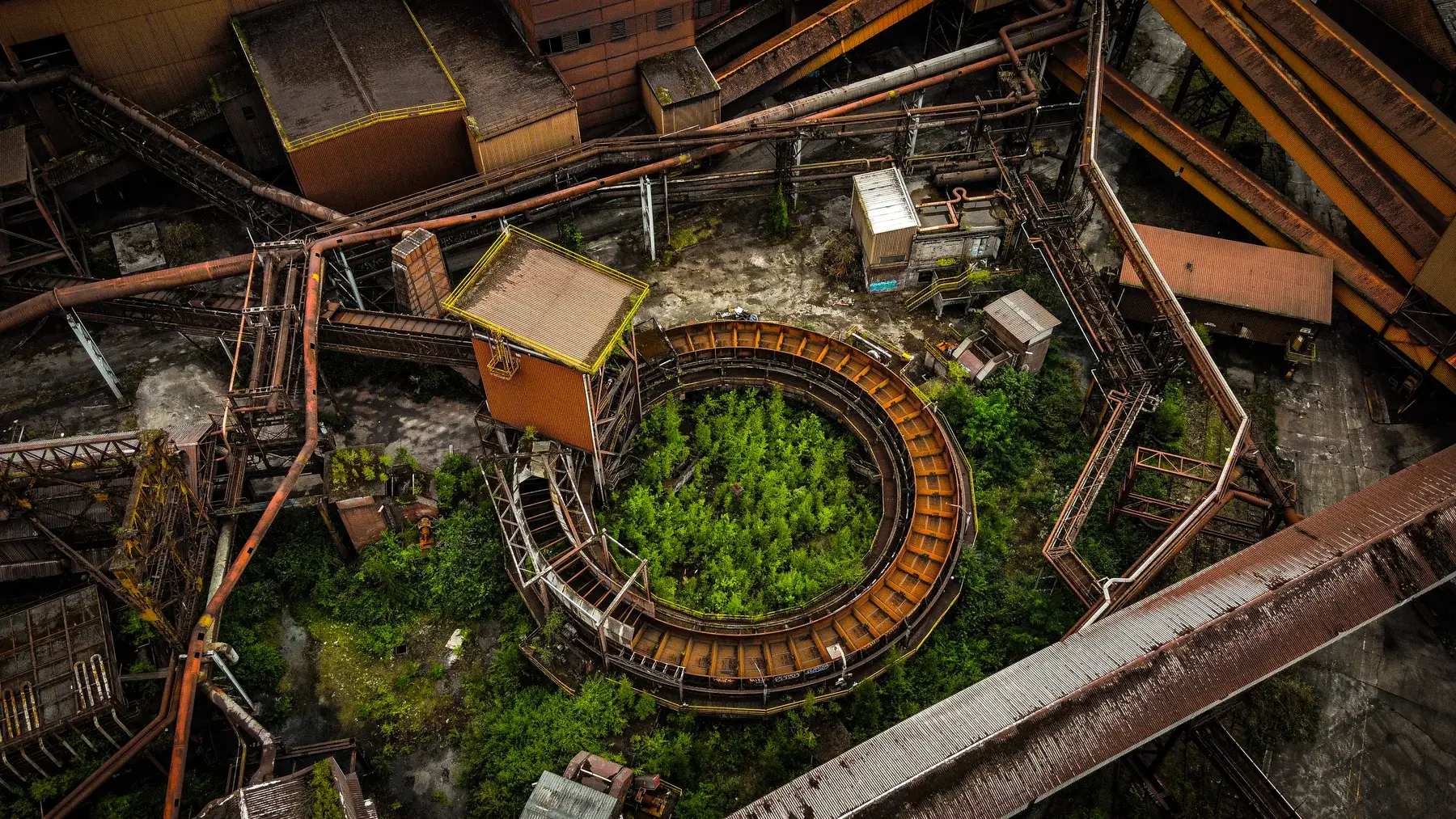 Luchtfoto van een verlaten, overwoekerd terrein met een ronde baan, fotografie Bas Otten